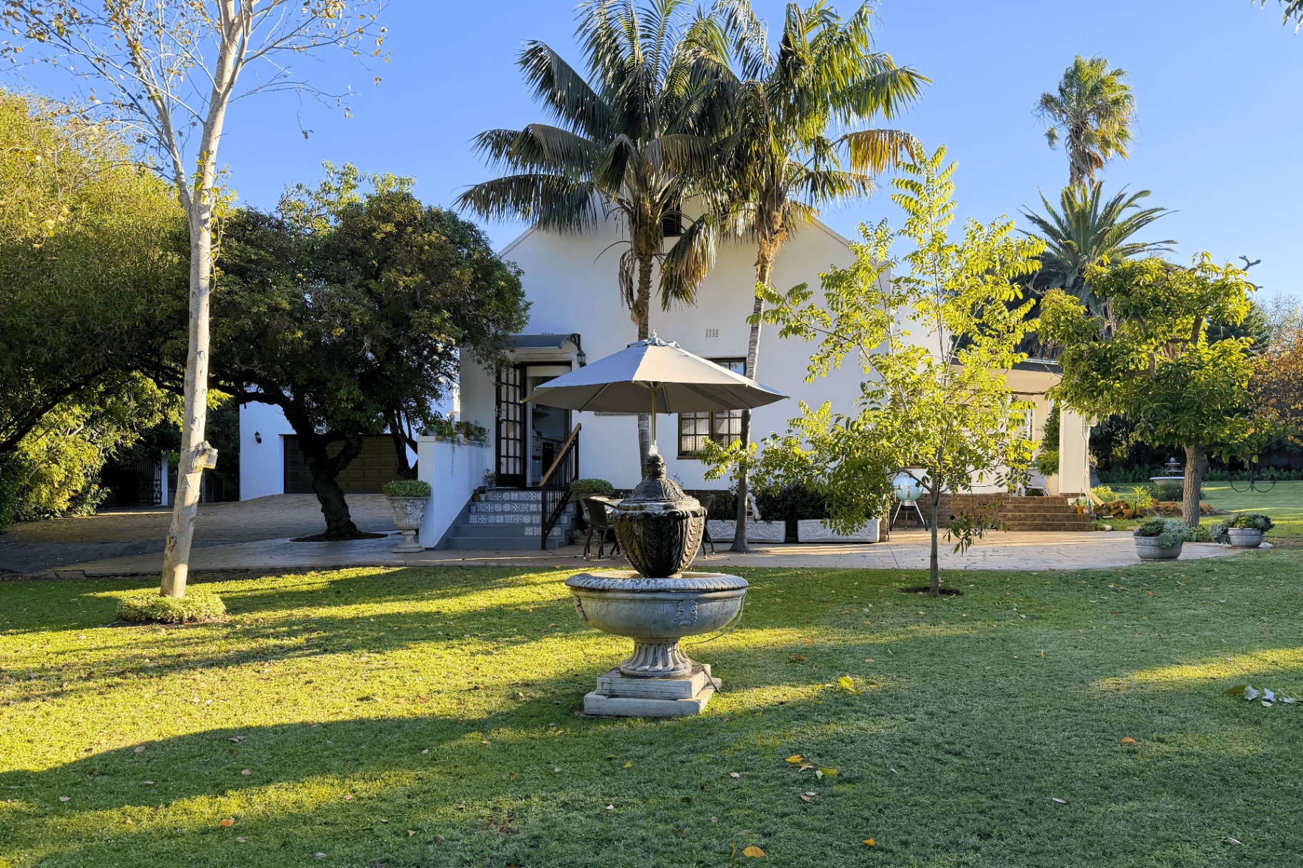 A lush green garden at dusk